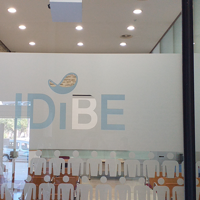 Vinilo adhesivo ácido para cristales, acabado translúcido elegante. Ideal para privacidad y decoración.