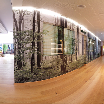 Vinilo adhesivo decorativo de impresión digital, perfecto para murales y espacios comerciales.